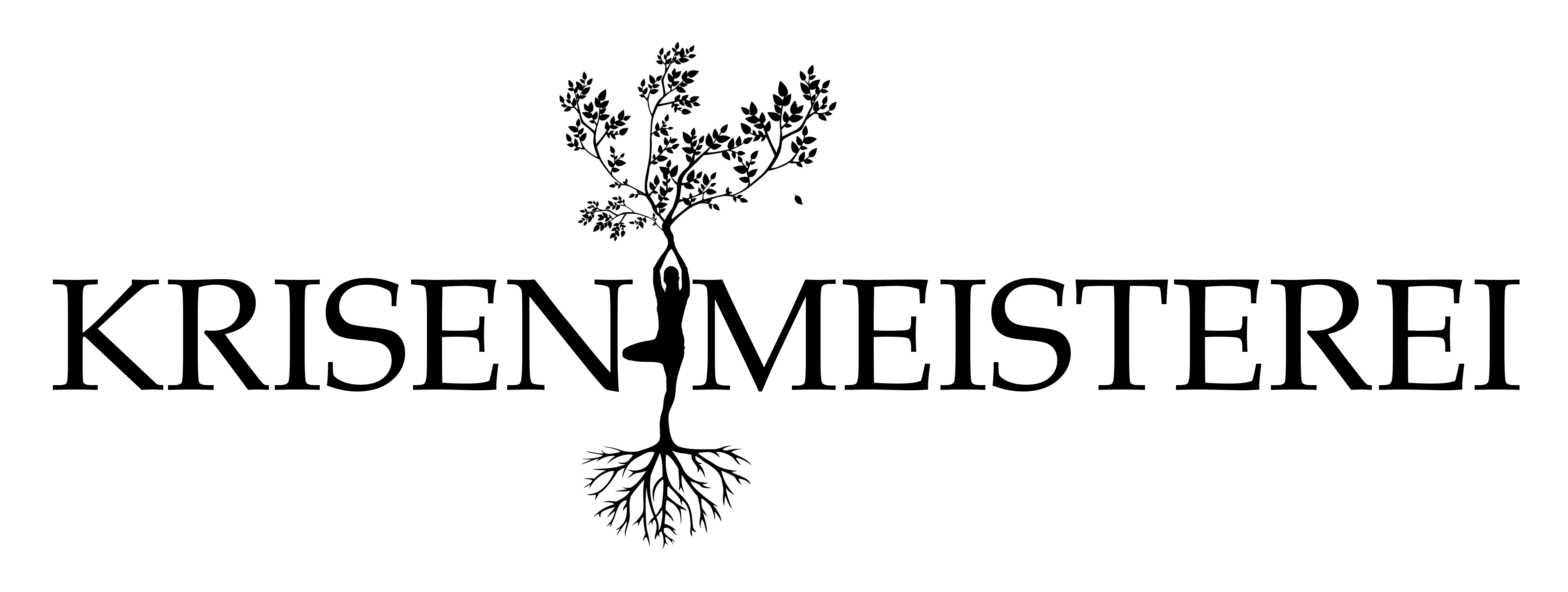 Krisen-Meisterei